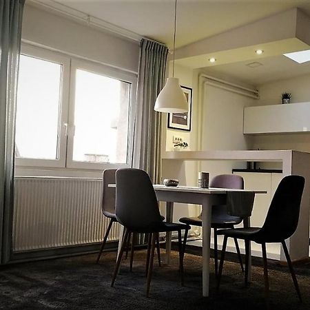 בלגרד Mansarda Apartment מראה חיצוני תמונה