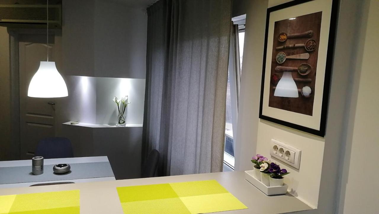 בלגרד Mansarda Apartment מראה חיצוני תמונה