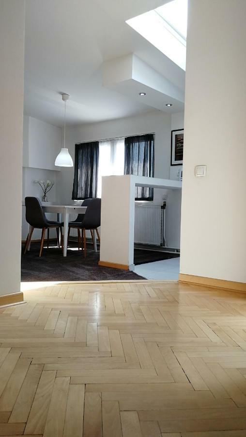 בלגרד Mansarda Apartment מראה חיצוני תמונה